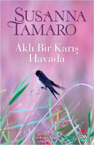 Aklı Bir Karış Havada | Kitap Ambarı