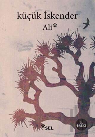 Ali | Kitap Ambarı