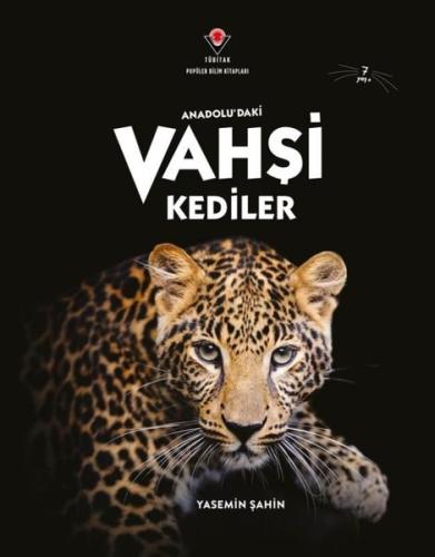 Anadolu'daki Vahşi Kediler | Kitap Ambarı