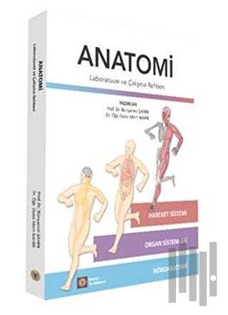 Anatomi | Kitap Ambarı