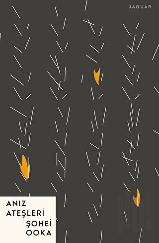 Anız Ateşleri | Kitap Ambarı