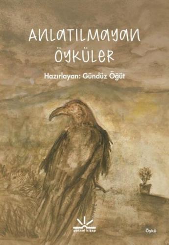 Anlatılmayan Öyküler | Kitap Ambarı