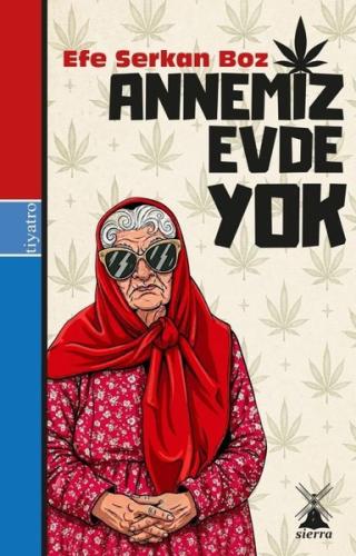 Annemiz Evde Yok | Kitap Ambarı