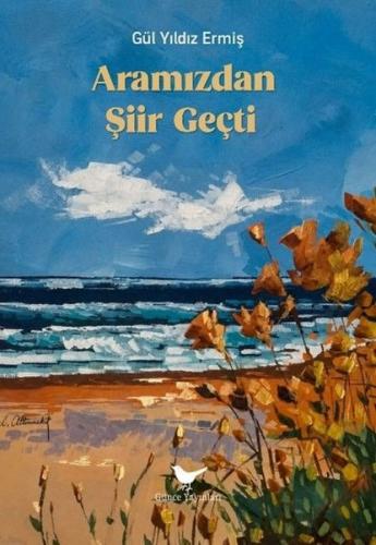 Aramızdan Şiir Geçti | Kitap Ambarı