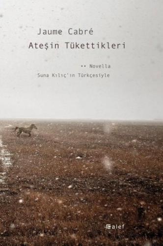Ateşin Tükettikleri | Kitap Ambarı