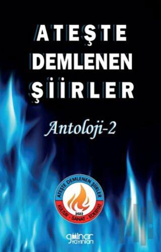 Ateşte Demlenen Şiirler Antoloji 2