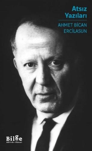 Atsız Yazıları | Kitap Ambarı