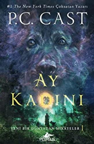 Ay Kadını | Kitap Ambarı