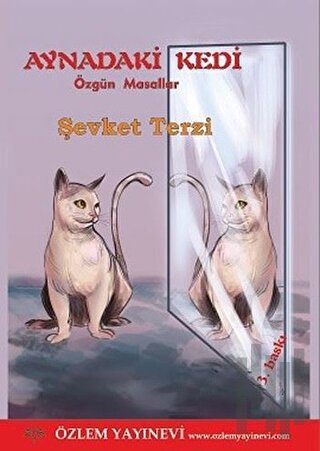 Aynadaki Kedi | Kitap Ambarı
