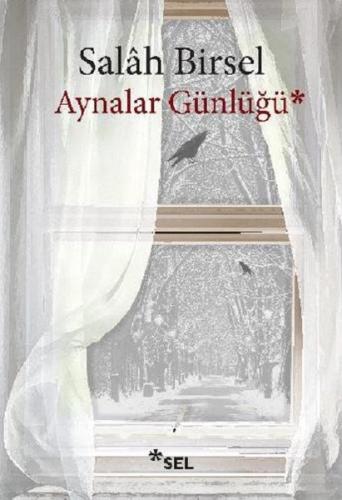 Aynalar Günlüğü