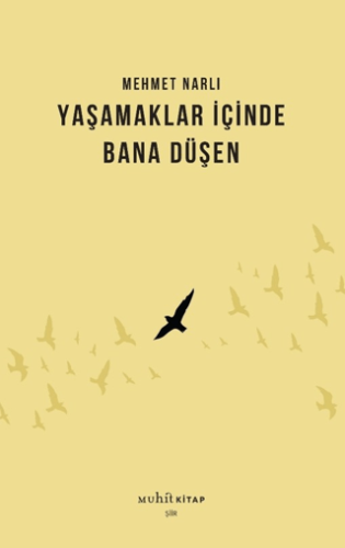Yaşamaklar İçinde Bana Düşen | Kitap Ambarı