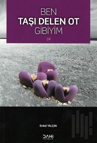 Ben Taşı Delen Ot Gibiyim