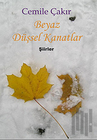 Beyaz Düşsel Kanatlar
