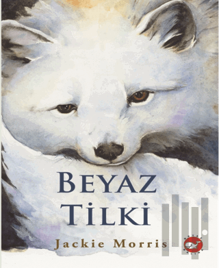 Beyaz Tilki | Kitap Ambarı