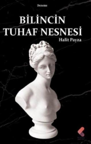 Bilincin Tuhaf Nesnesi | Kitap Ambarı