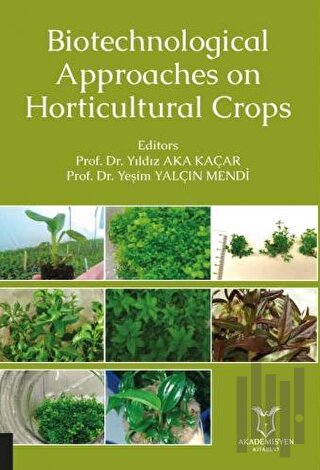 Biotechnological Approaches on Horticultural Crops