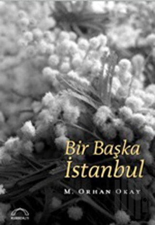 Bir Başka İstanbul | Kitap Ambarı