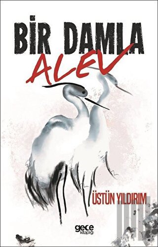 Bir Damla Alev | Kitap Ambarı
