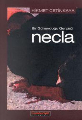 Bir Güneydoğu Gerçeği: Necla