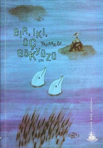 Bir, İki, Üç Gökyüzü | Kitap Ambarı