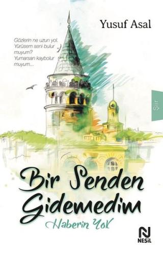 Bir Senden Gidemedim Haberin Yok | Kitap Ambarı