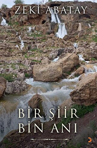Bir Şiir Bin Anı
