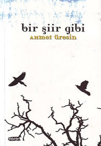 Bir Şiir Gibi | Kitap Ambarı