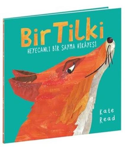 Bir Tilki - Heyecanlı Bir Sayma Hikayesi