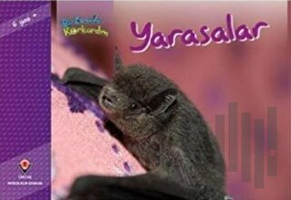 Bir Zamanlar Korkardım - Yarasalar