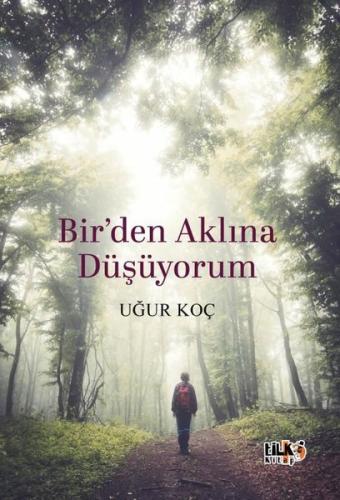 Bir'den Aklına Düşüyorum