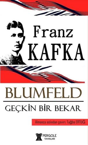 Blumfeld Geçkin Bir Bekar | Kitap Ambarı