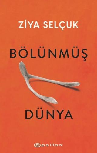 Bölünmüş Dünya | Kitap Ambarı