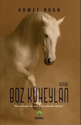 Boz Küheylan