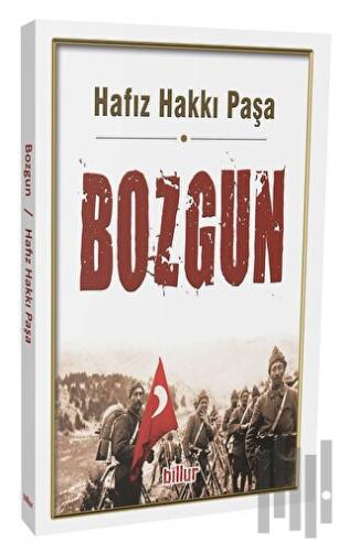 Bozgun
