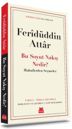 Bu Soyut Nakış Nedir? - Rubailerden Seçmeler - Kırmızı Kedi Klasikler