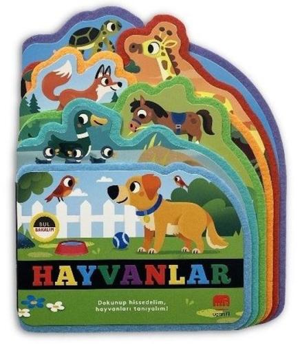 Bul Bakalım - Hayvanlar (Ciltli) | Kitap Ambarı