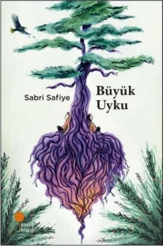 Büyük Uyku | Kitap Ambarı