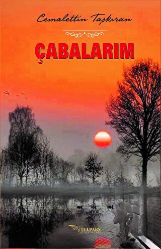 Çabalarım