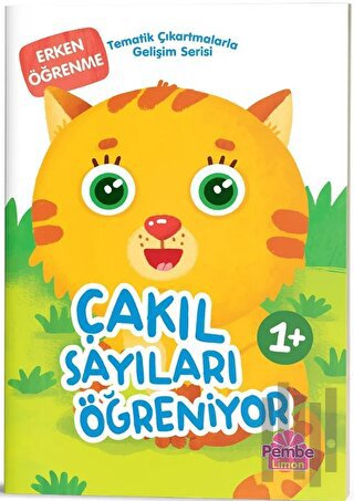 Çakıl Sayıları Öğreniyor