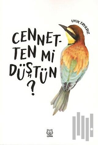 Cennetten mi Düştün? | Kitap Ambarı