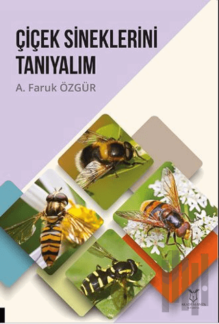 Çiçek Sineklerini Tanıyalım