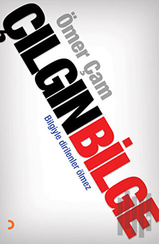 Çılgın Bilge | Kitap Ambarı