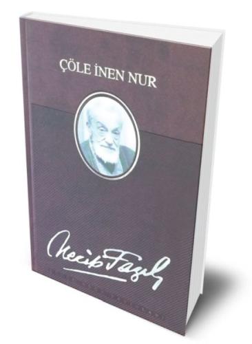 Çöle İnen Nur (Deri Ciltli) | Kitap Ambarı