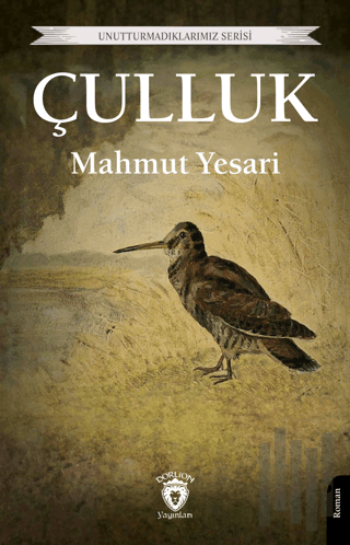 Çulluk | Kitap Ambarı