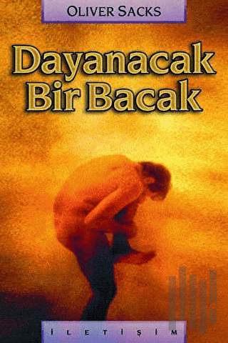 Dayanacak Bir Bacak | Kitap Ambarı