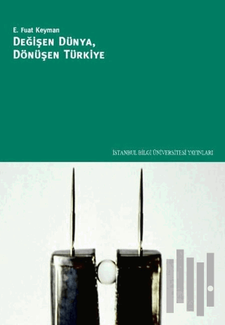 Değişen Dünya, Dönüşen Türkiye