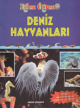 Deniz Hayvanları | Kitap Ambarı