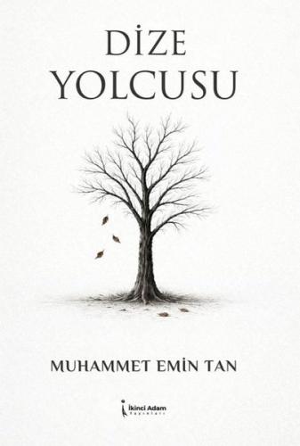 Dize Yolcusu
