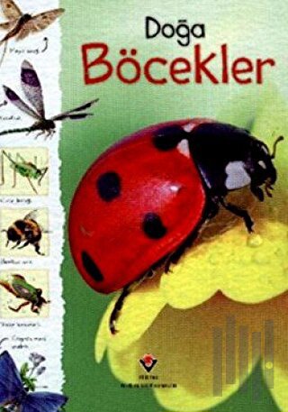 Doğa: Böcekler | Kitap Ambarı