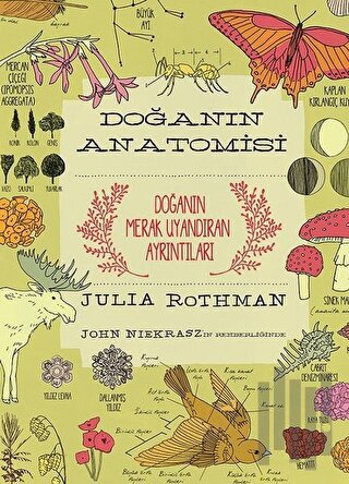 Doğanın Anatomisi | Kitap Ambarı
